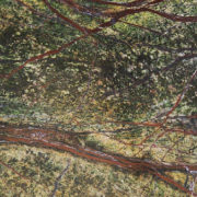 Verde bosque