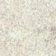 Kashmir White