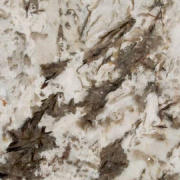 Bianco antico