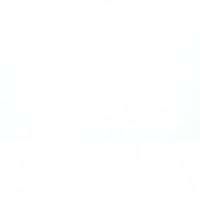Blanco icon